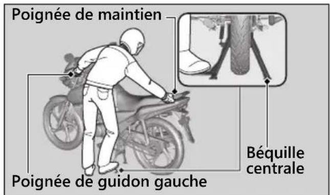 Poignée de maintien Poignée de guidon gauche Béquille centrale