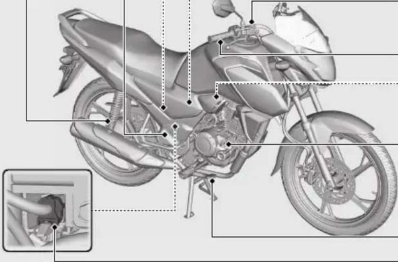 Honda CB125F (2021) - Contacteur de feu stop - 4