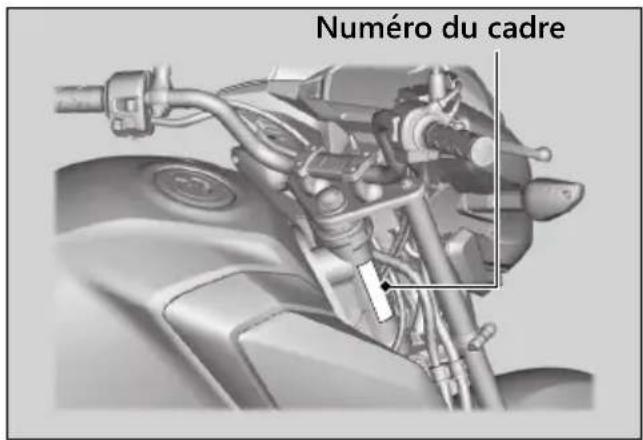 Numéro du cadre