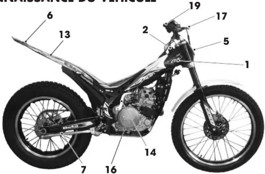Beta Evo 4T 250 (2016) - IDENTIFICATION DU MOTEUR - 1