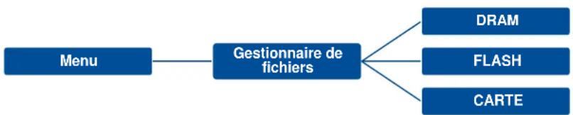 TSC PEX1120 - Gestionnaire de fichiers - 1