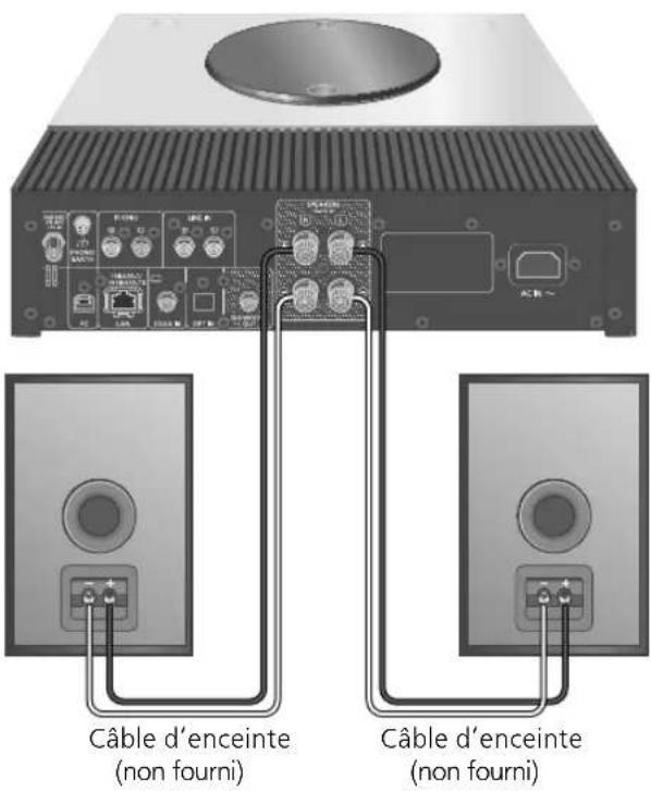TECHNICS SAC600 - Connexion de l'enceinte - 1