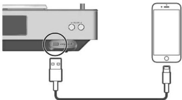TECHNICS SAC100 - Utilizzando iPhone/iPad/iPod - 1
