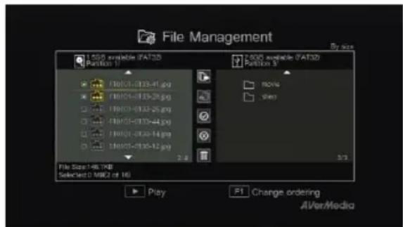 AVERMEDIA Live Streamer Pop Filter BA310 - Administración de archivos (File Management) - 1