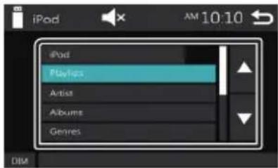 iPod Playlogs Artist Albums Genres DIM