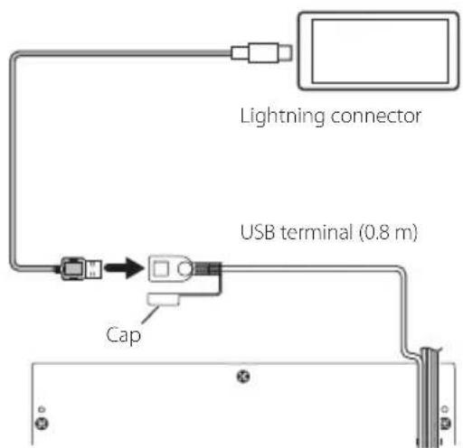 Lightning connector USB terminal (0.8 m) Cap