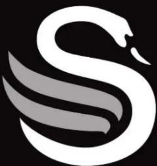 SWAN Retro ST19020 - REMARQUES - 5