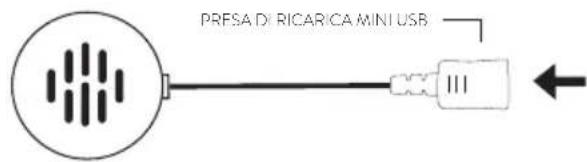 MIDLAND BT Go - Ricarica - 1