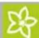 Kärcher CWB 3 - Startskärn - 2