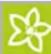 Kärcher CWB 3 - Ajustes - 2