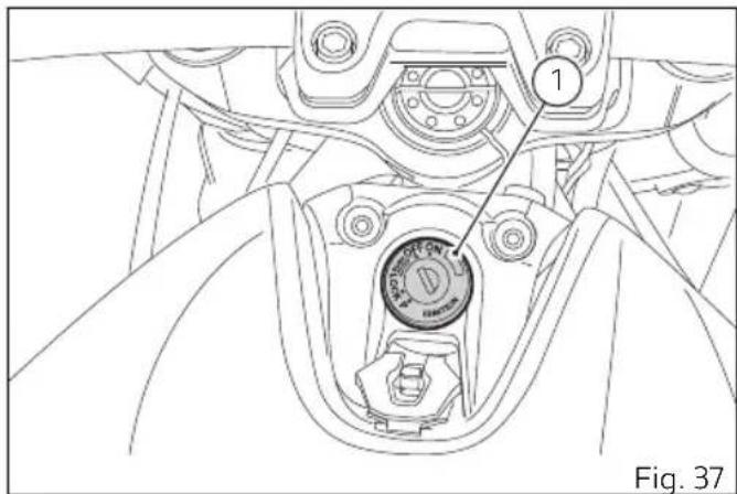 DUCATI Monster 797 (2021) - Attention - 1