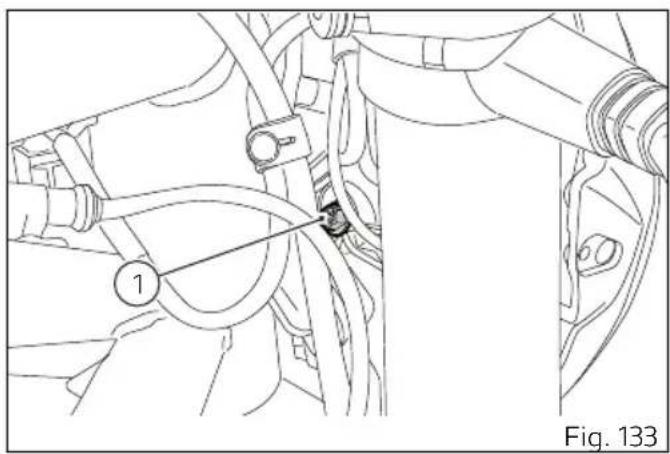 DUCATI Monster 797 (2021) - Attention - 1