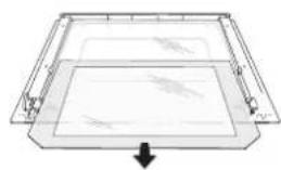 CATA PR 6011 XGBK - WARNING: - 4