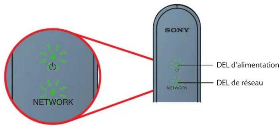 SONY DMXNV1 - Voyants DEL - 1
