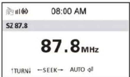 ALBRECHT DR 880 - Informazioni display FM - 1