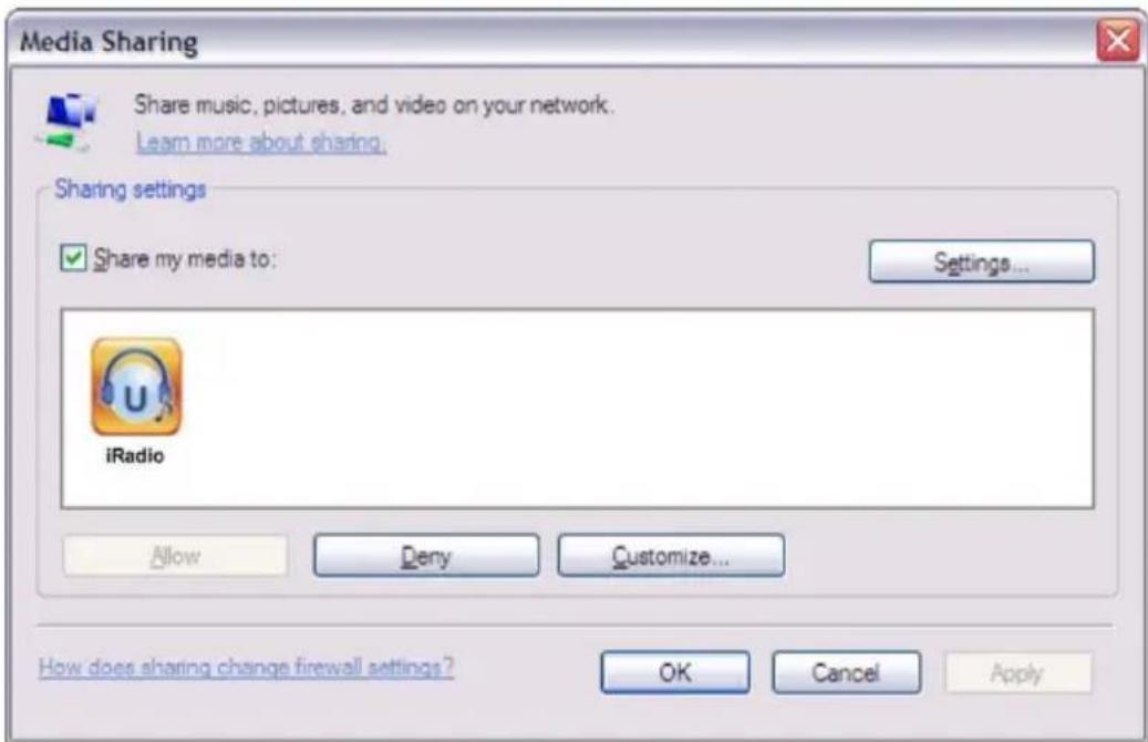 ALBRECHT DR 316 - Condivisione di file multimediali con Windows Media Player - 1