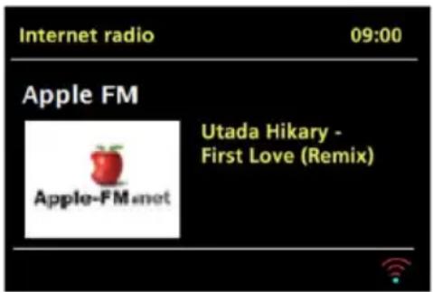 ALBRECHT DR 316 - Modalità radio Internet - 1
