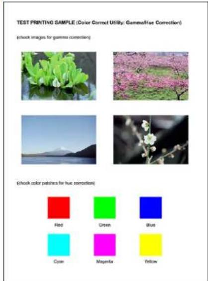 OKI Pro1050 - 备忘录 - 2