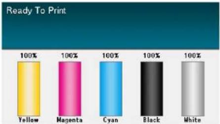 OKI Pro1050 - 备忘录 - 4