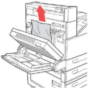 OKI ES9130 - INTÉRIEUR DU CAPOT D (UNITE DUPLEX) - 2