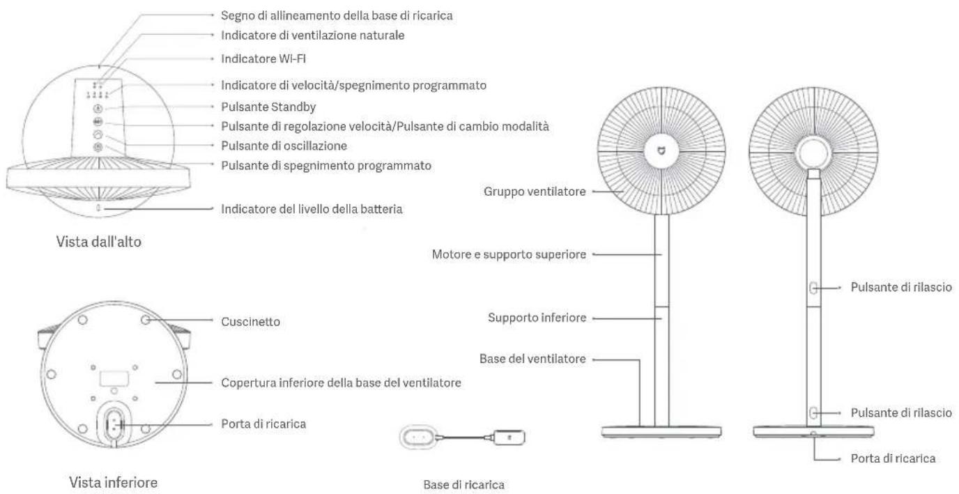 Segno di allineamento della base di ricarica Indicatore di ventilazione naturale Indicatore WI-FI Indicatore di velocità/spegnimento programmato Pulsante Standby Pulsante di regolazione velocità/Pulsante di cambio modalità Pulsante di oscillazione Pulsante di spegnimento programmato Indicatore del livello della batteria Vista dall'alto Cuscinetto Copertura inferiore della base del ventilatore Porta di ricarica Vista inferiore Base di ricarica Gruppo ventilatore Motore e supporto superiore Supporto inferiore Base del ventilatore Pulsante di rilascio Pulsante di rilascio Porta di ricarica