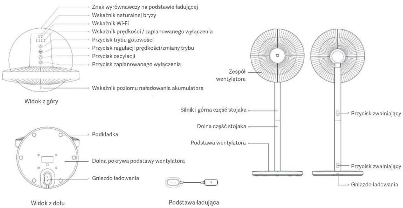 Znak wyrównawczy na podstawie ładującej Wskaźnik naturalnej bryzy Wskaźnik Wi-Fi Wskaźnik prędkości / zaplanowanego wyłączenia Przycisk trybu gotowości Przycisk regulacji prędkości/zmiany trybu Przycisk oscylacji Przycisk zaplanowanego wyłączenia Wskaźnik poziomu naładowania akumulatora Widok z góry Podkładka Dolna pokrywa podstawy wentylatora Gniazdo ładowania Podstawa ładująca Zespół wentylatora Silnik i górna część stojaka Dolna część stojaka Podstawa wentylatora Przycisk zwalniający Przycisk zwalniający Gniazdo ładowania