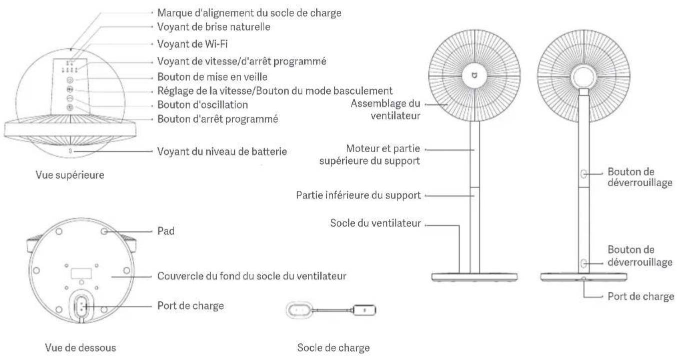 Marque d'alignement du socle de charge Voyant de brise naturelle Voyant de Wi-Fi Voyant de vitesse/d'arrêt programmé Bouton de mise en veille Réglage de la vitesse/Bouton du mode basculement Bouton d'oscillation Bouton d'arrêt programmé Voyant du niveau de batterie Vue supérieure Assemblage du ventilateur Moteur et partie supérieure du support Partie inférieure du support Socle du ventilateur Pad Couvercle du fond du socle du ventilateur Port de charge Vue de dessous Socle de charge Bouton de déverrouillage Bouton de déverrouillage Port de charge