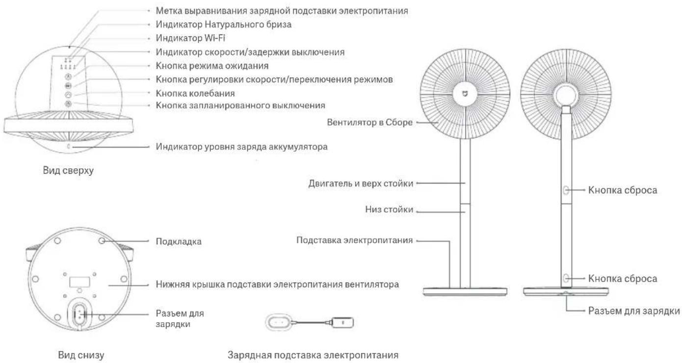 Метка выравнивания зарядной подставки электропитания Индикатор Натурального бриза Индикатор Wi-Fi Индикатор скорости/задержки выключения Кнопка режима ожидания Кнопка регулировки скорости/переключения режимов Кнопка колебания Кнопка запланированного выключения Вид сверху Индикатор уровня заряда аккумулятора Двигатель и верх стойки Низ стойки Подкладка Подставка электропитания Нижняя крышка подставки электропитания вентилятора Разъем для зарядки Вид снизу Зарядная подставка электропитания Кнопка сброса Кнопка сброса Разъем для зарядки