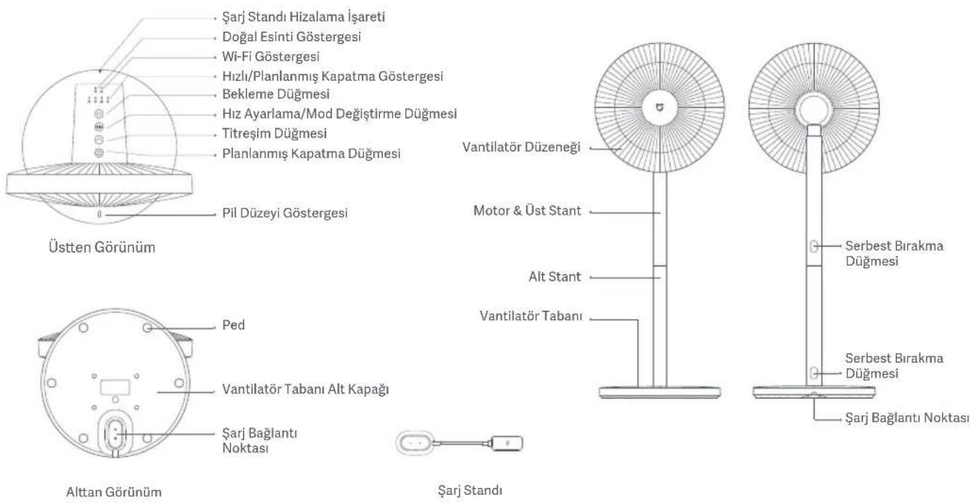 Şarj Standı Hizalama İşareti Doğal Esinti Göstergesi Wi-Fi Göstergesi Hızlı/Planlanmış Kapatma Göstergesi Bekleme Düğmesi Hız Ayarlama/Mod Değiştirme Düğmesi Titreşim Düğmesi Planlanmış Kapatma Düğmesi Pil Düzeyi Göstergesi Üstten Görünüm Vantilatör Düzenegî Motor & Üst Stant Alt Stant Vantilatör Tabanı Serbest Birakma Düğmesi Ped Vantilatör Tabanı Alt Kapağı Şarj Bağlantı Noktası Altan Görünüm Şarj Standı Serbest Birakma Düğmesi Şarj Bağlantı Noktası