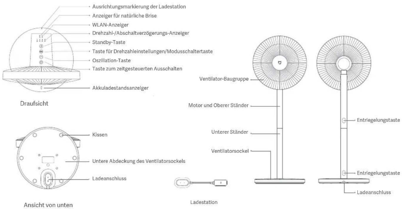 Ausrichtungsmarkierung der Ladestation Anzeiger für natürliche Brise WLAN-Anzeiger Drehzahl-/Abschaltverzögerungs-Anzeiger Standby-Taste Taste für Drehzahlinstellungen/Modusschaltertaste Oszillation-Taste Taste zum zeitgesteuerten Ausschalten Akkuladestandsanzeiger Draufsicht Kissen Untere Abdeckung des Ventilatorsockels Ladeanschluss Ansicht von unten Ladestation Ventilator-Baugruppe Motor und Oberer Ständer Unterer Ständer Ventilatorsockel Entriegelungstaste Entriegelungstaste Ladeanschluss