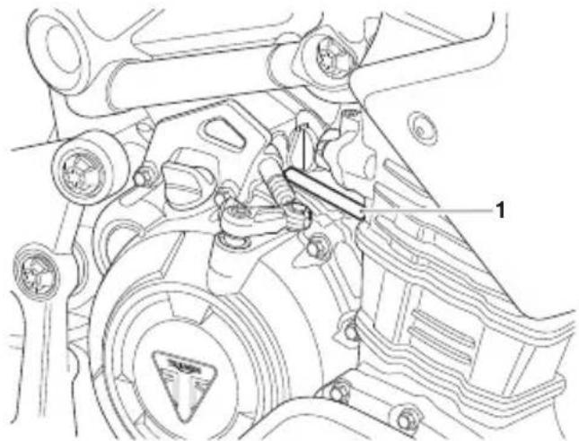 TRIUMPH Tiger 1200 (2022) - Numéro d'identification du véhicule - 1