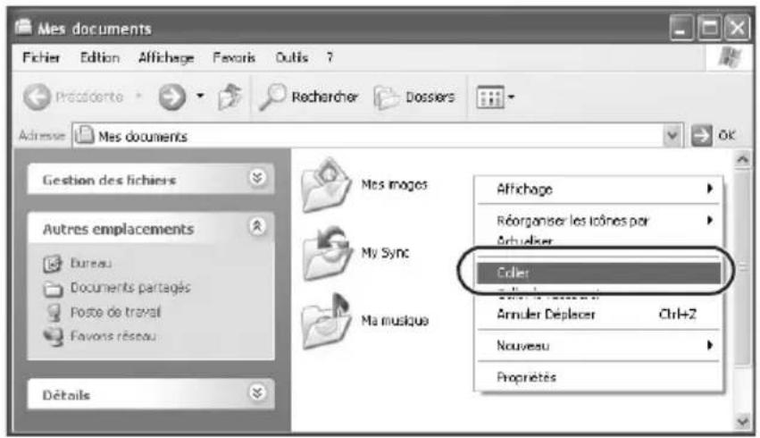 SONY HDPSM1 - Conseil - 2