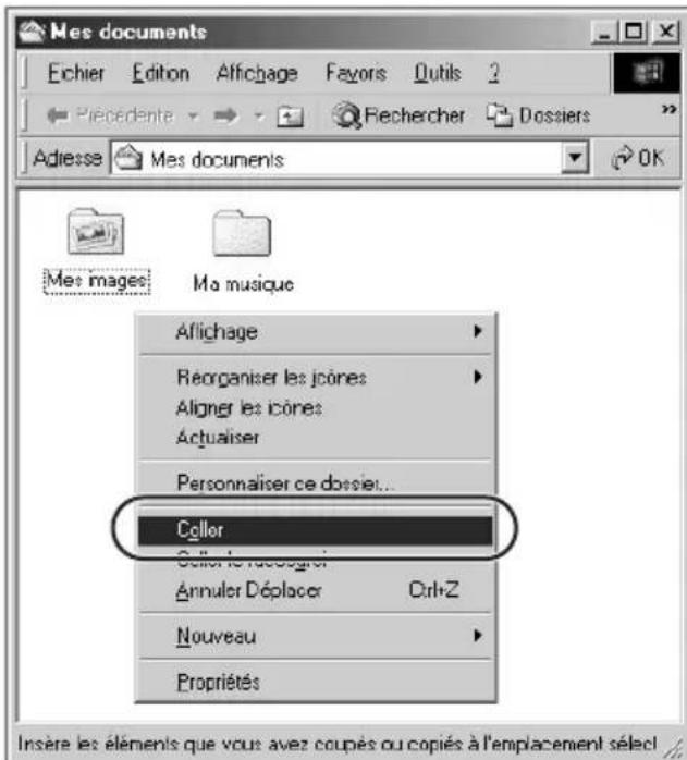 SONY HDPSM1 - Double-cliquez sur [STORE.IPS]. - 3