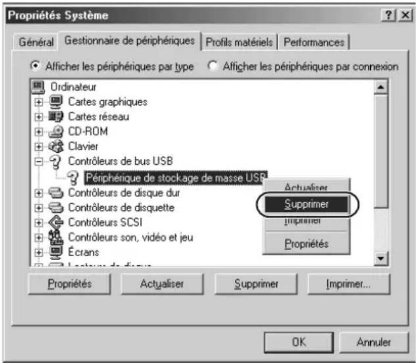 SONY HDPSM1 - Avec Windows Me - 2