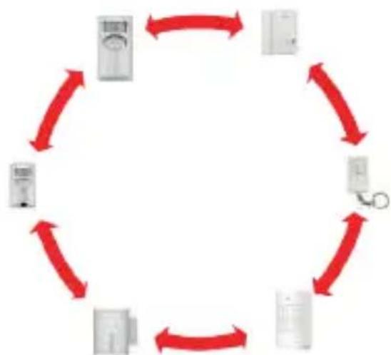 CHACON 34048 - Un ecosystema compatibile al 100% - 1