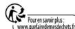 Ferrex GTFM06 - Mise au rebut - 1