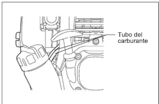 Tubo del carburante