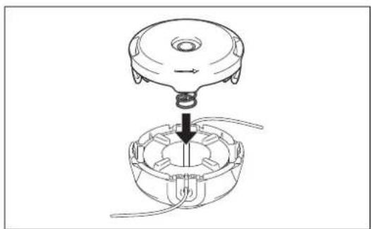 DOLMAR MS248.4C - (Für „Bump &amp; Feed“-Nachführung) - 5