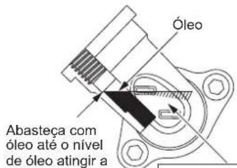 DOLMAR MS248.4C - Ponto 1 sobre a Substituição do oleo: "Indicador do nível de oleo" - 2