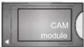 PANASONIC TX39JSW354 - (\*) MY BUTTON 1 & MY BUTTON 2: - 26