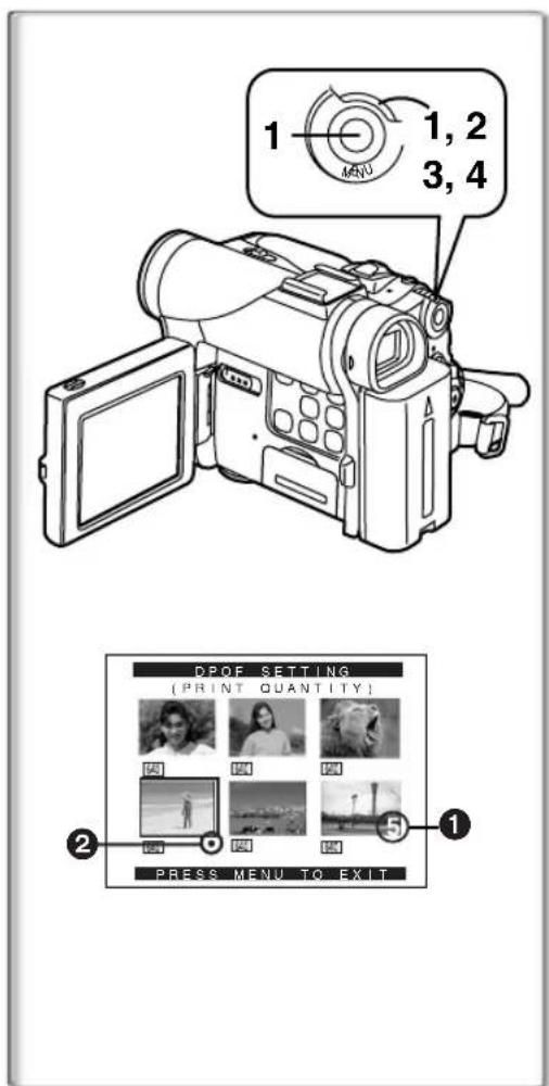PANASONIC PVDC152K - Sélection et effacement de tous les fichiers - 2