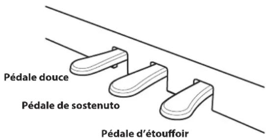 KAWAI CA98 - Pédale d'étouffoir (pédale de croite) - 1