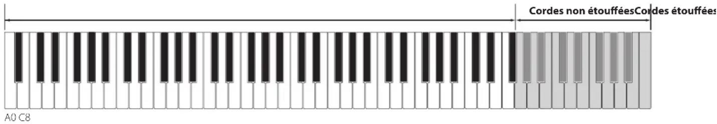 KAWAI CA99 - Undamped String Resonance (Résonance non étouffée des cordes) - 2