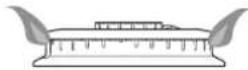 LG LSG5513ST - THIS LIMITED WARRANTY DOES NOT COVER: - 3