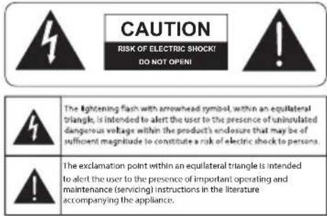 DEFINITIVE TECHNOLOGY Descend DN8 - Safety Precautions - 1