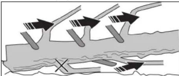 JONSERED CS16i - Para desramar un árbol - 1