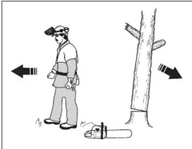 JONSERED CS16i - To fell a tree - 5