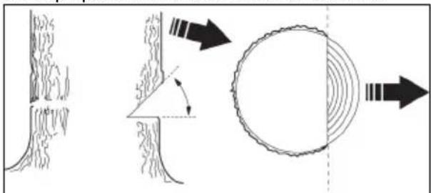 JONSERED CS16i - Para talar un árbol - 1