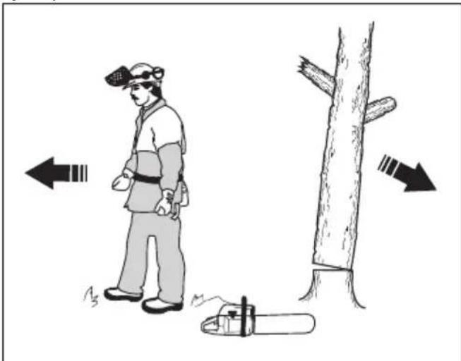 JONSERED CS16i - Para talar un árbol - 5