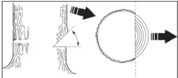 JONSERED CS16i - To fell a tree - 1
